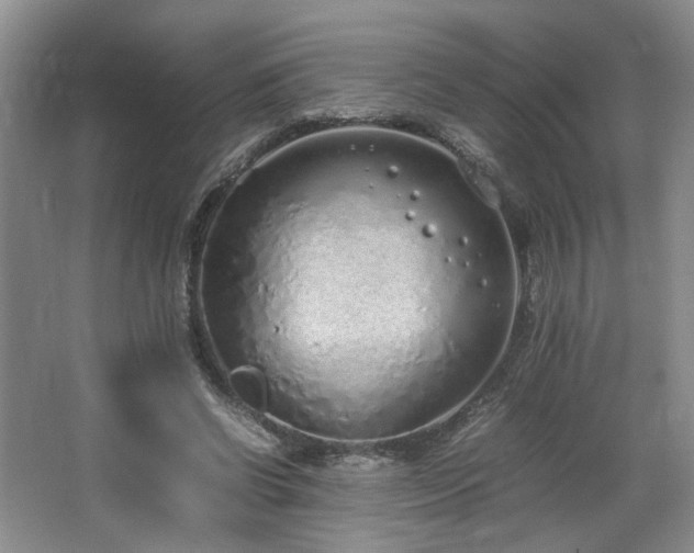 X0000064730542200602101152