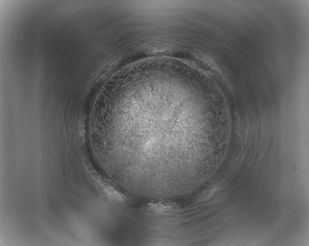 X0000064730545200602101152