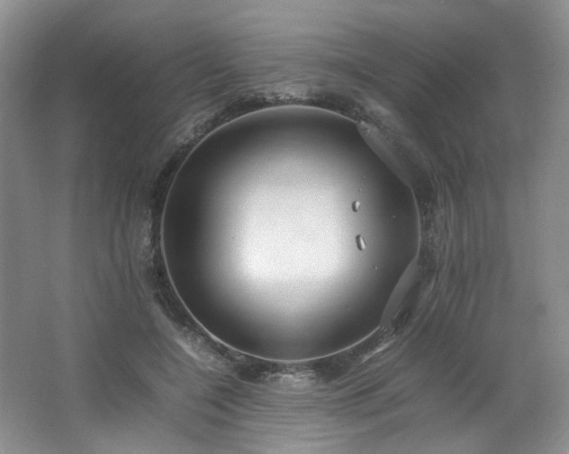 X0000064730548200602101152