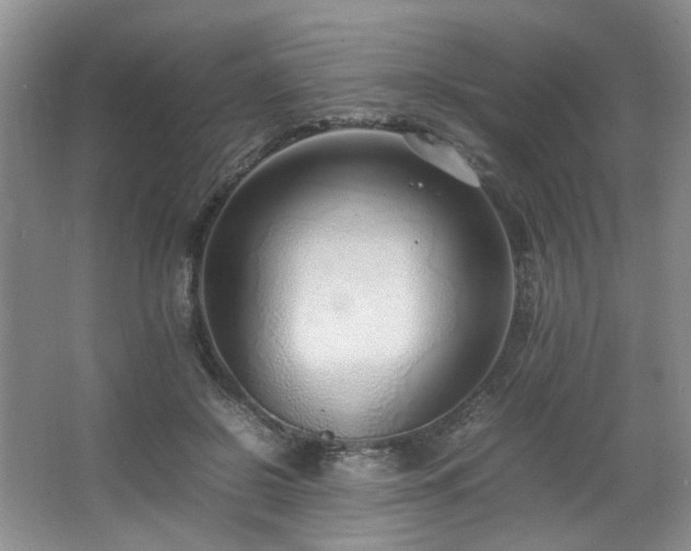 X0000064730550200602101152