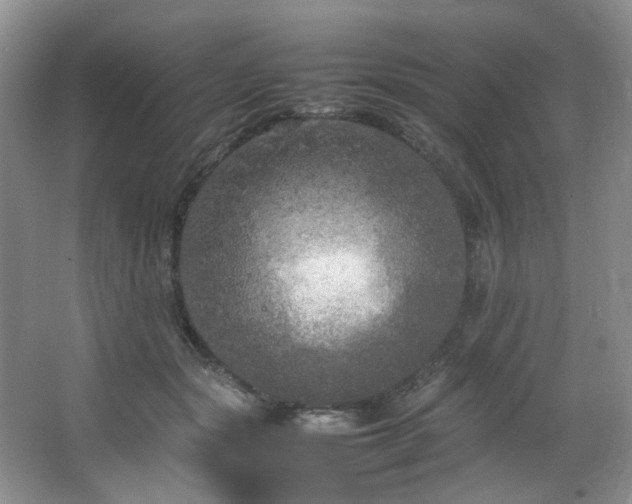 X0000064730557200602101153