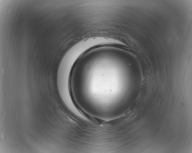 X0000064730558200602101153