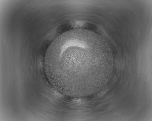 X0000064730561200602101153