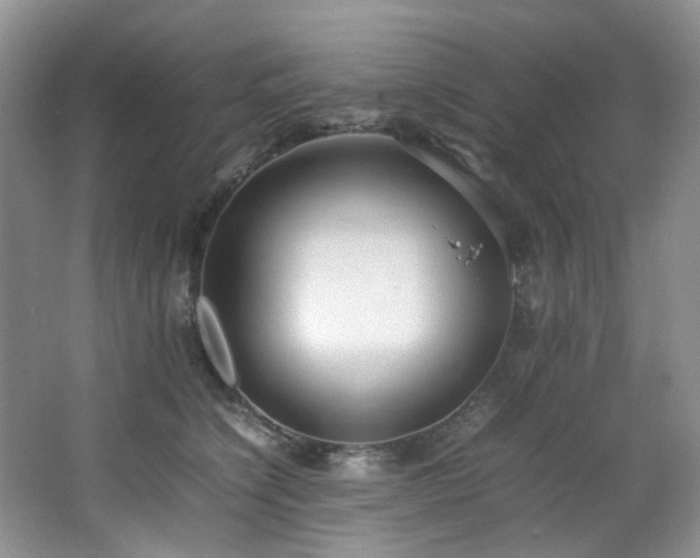 X0000064730564200602101153