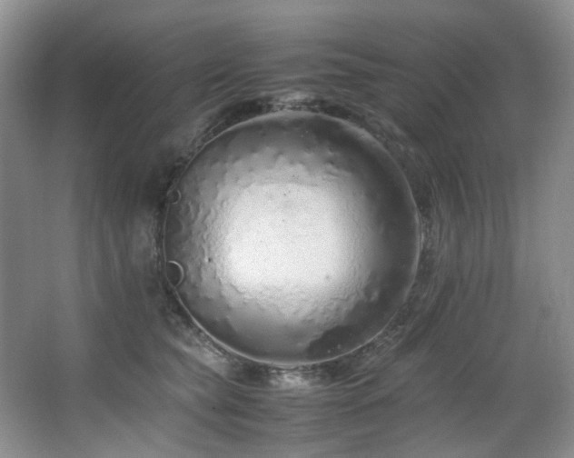 X0000064730565200602101153