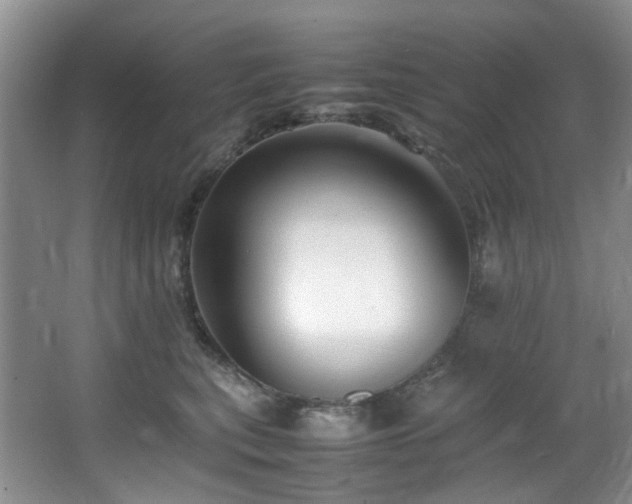 X0000064730567200602101153