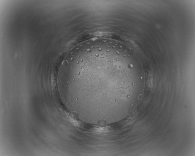 X0000064730569200602101153