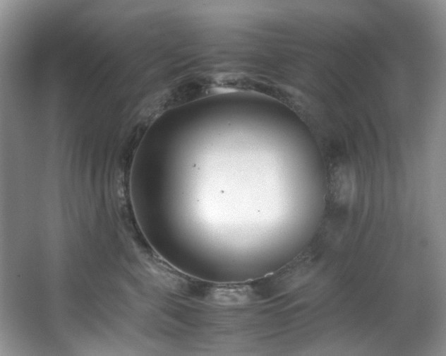 X0000064730571200602101153