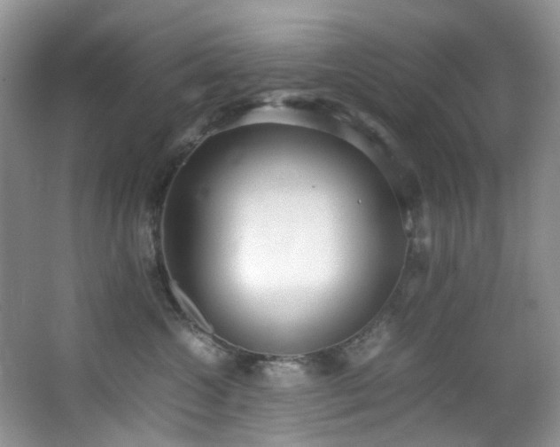 X0000064730572200602101153