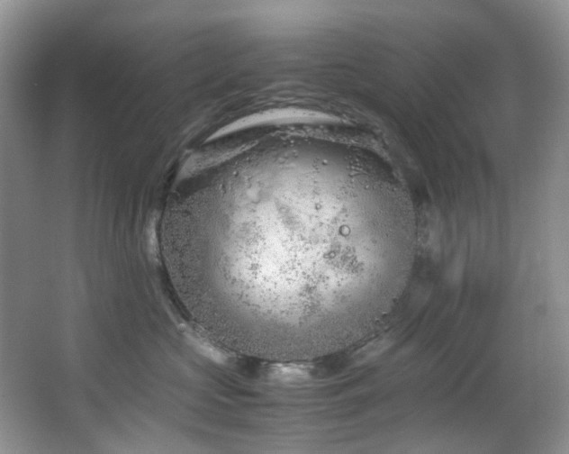 X0000064730573200602101153