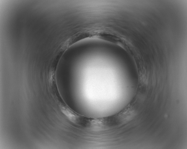 X0000064730574200602101153