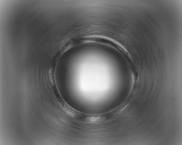 X0000064730575200602101153