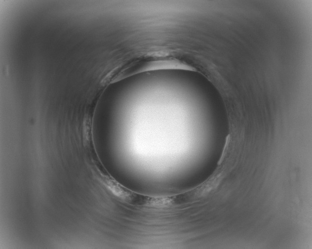 X0000064730576200602101153