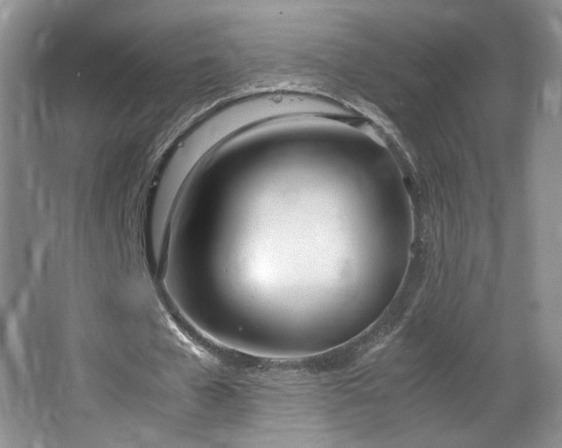 X0000064730577200602101152