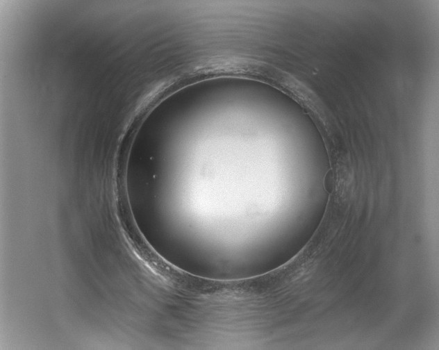 X0000064730578200602101152