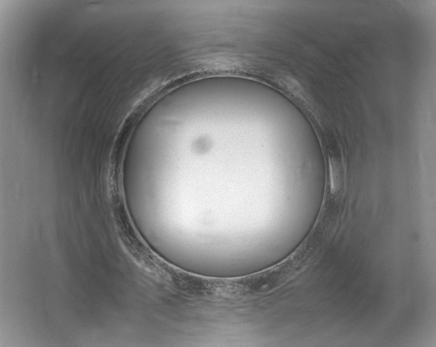 X0000064730579200602101152