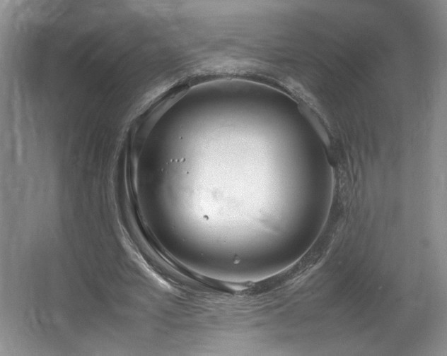 X0000064730581200602101152