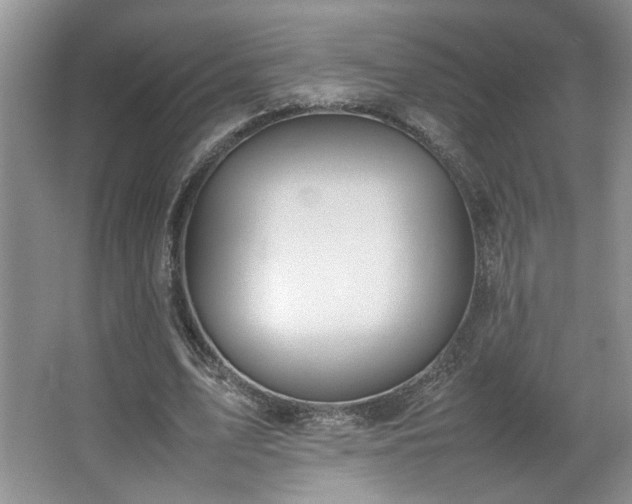 X0000064730583200602101152