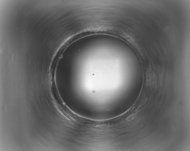 X0000064730584200602101152