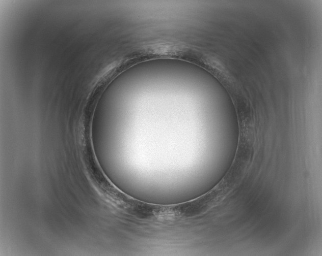 X0000064730587200602101152