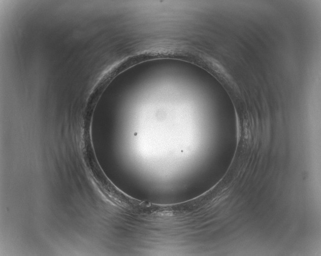 X0000064730588200602101152