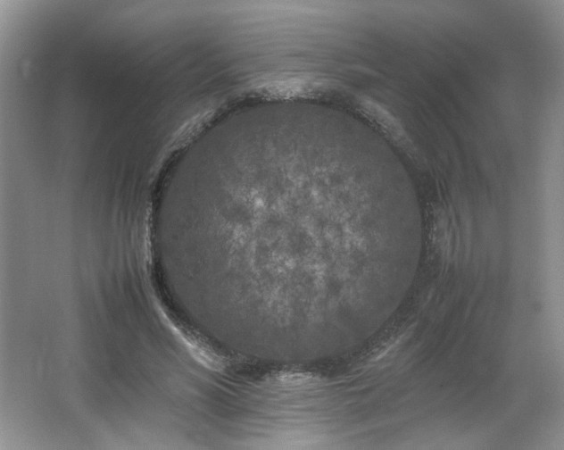 X0000064730590200602101152