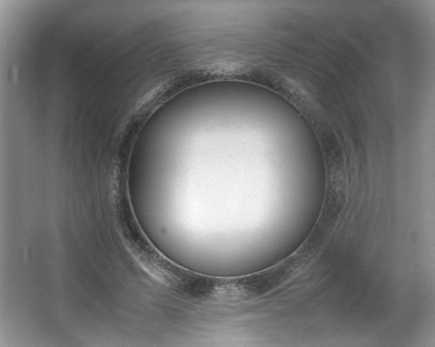 X0000064730591200602101152