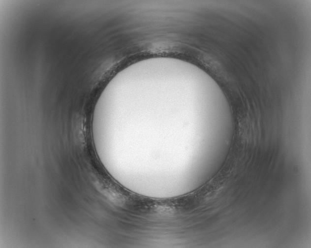 X0000064730592200602101152