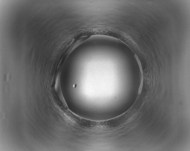 X0000064730593200602101152