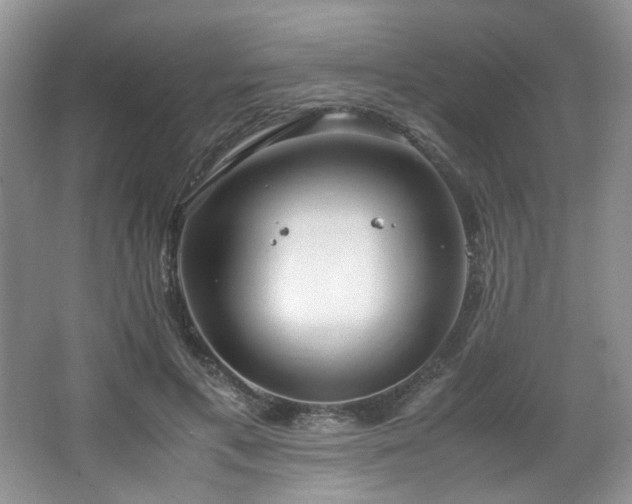 X0000064730597200602101152