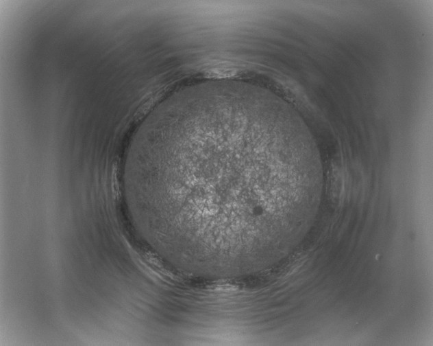 X0000064730598200602101152