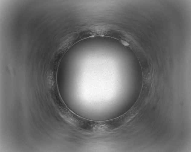 X0000064730599200602101152