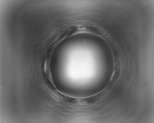 X0000064730601200602101152