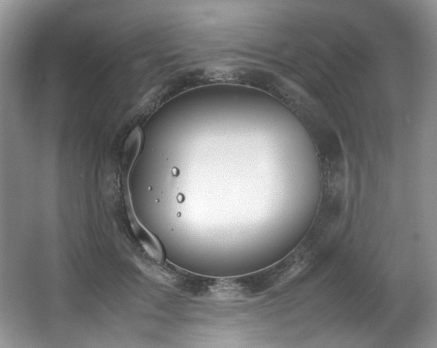 X0000064730603200602101152