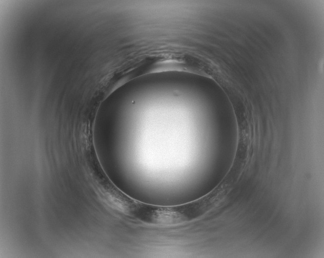 X0000064730605200602101152