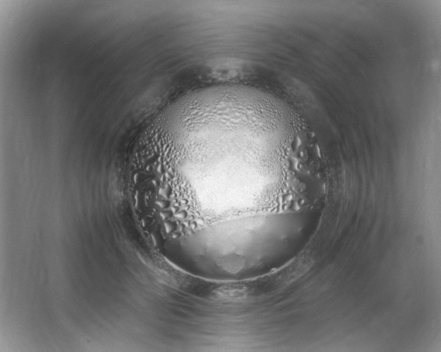 X0000064730606200602101152