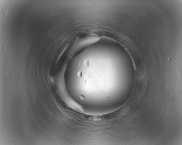 X0000064730607200602101152