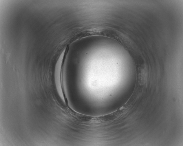 X0000064730608200602101152