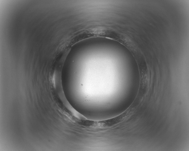 X0000064730609200602101151