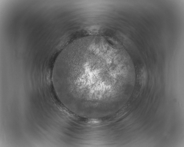 X0000064730610200602101151