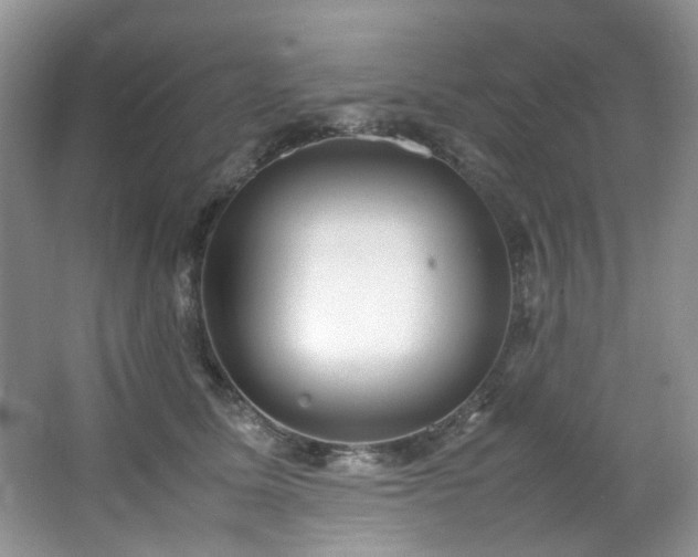 X0000064730611200602101151