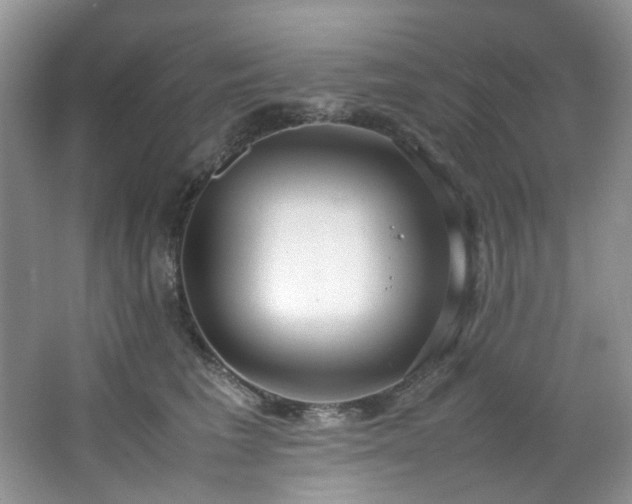 X0000064730613200602101151