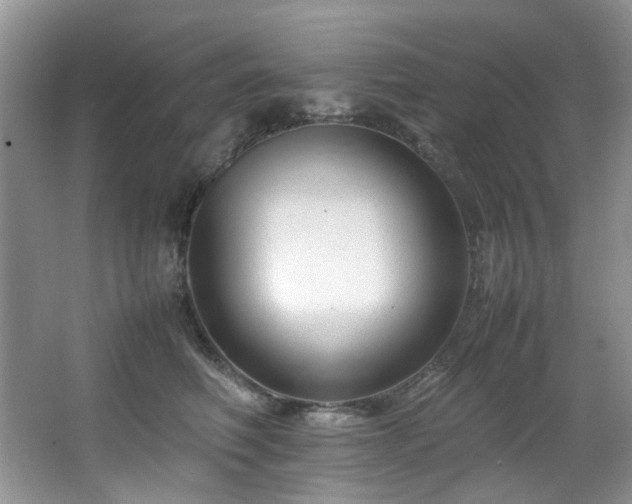 X0000064730614200602101151