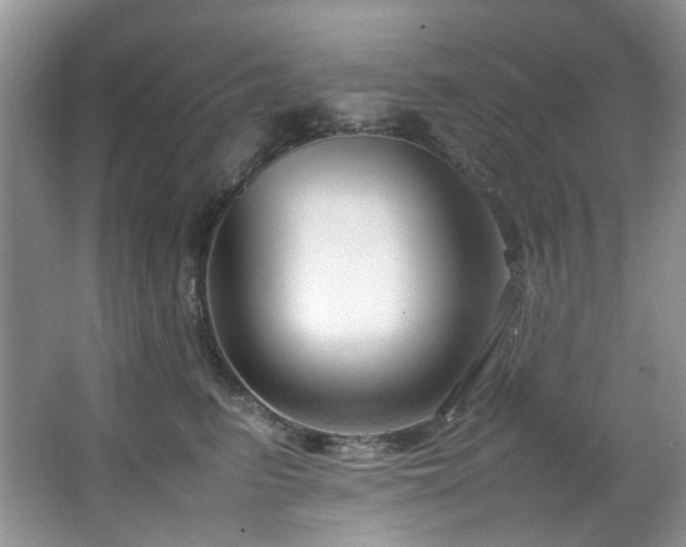 X0000064730615200602101151