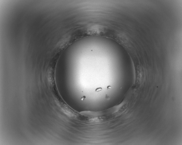 X0000064730616200602101151