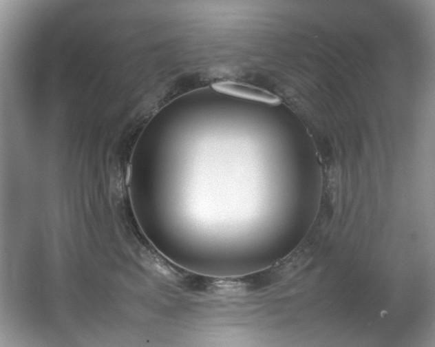 X0000064730617200602101151