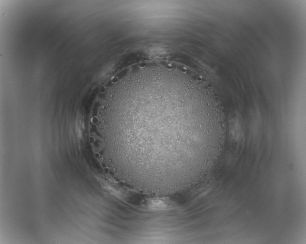 X0000064730618200602101151