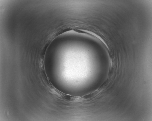 X0000064730621200602101151