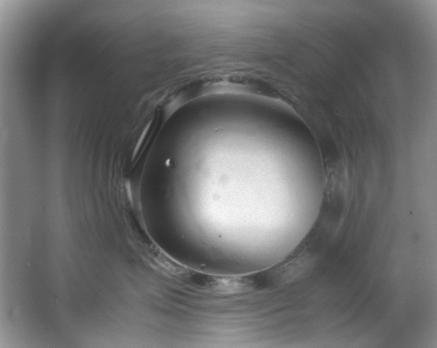 X0000064730623200602101151