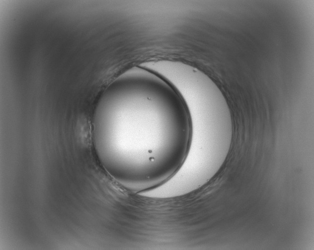 X0000064730624200602101151